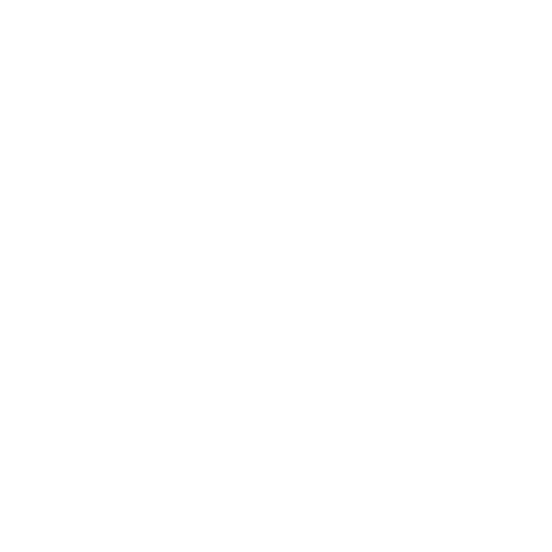 logo light